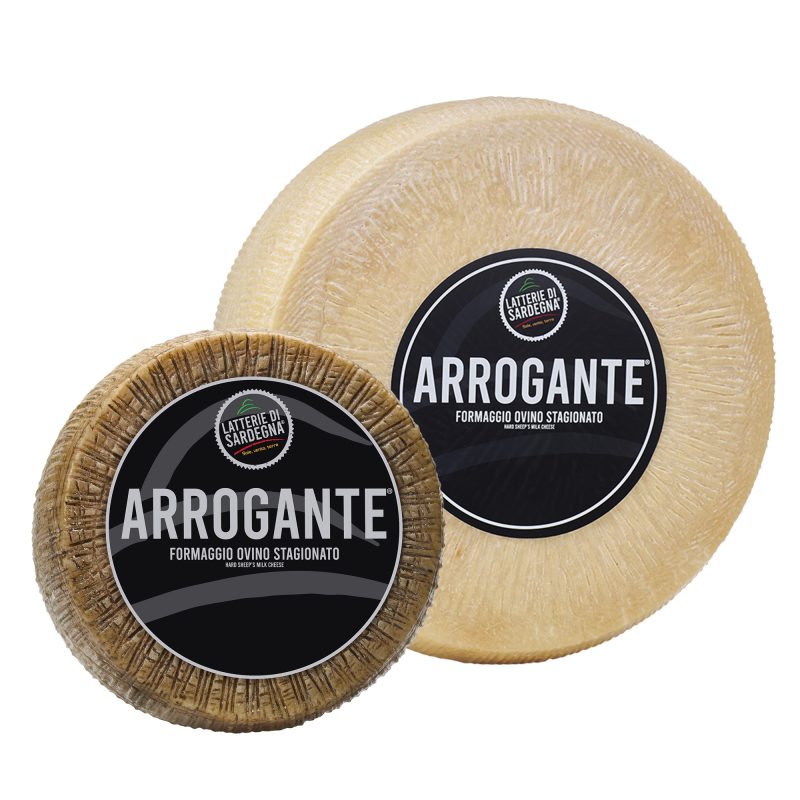 Arrogante-2025